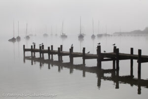 Stimmungsvolles Foto vom Ammersee im Nebel bei Diessen