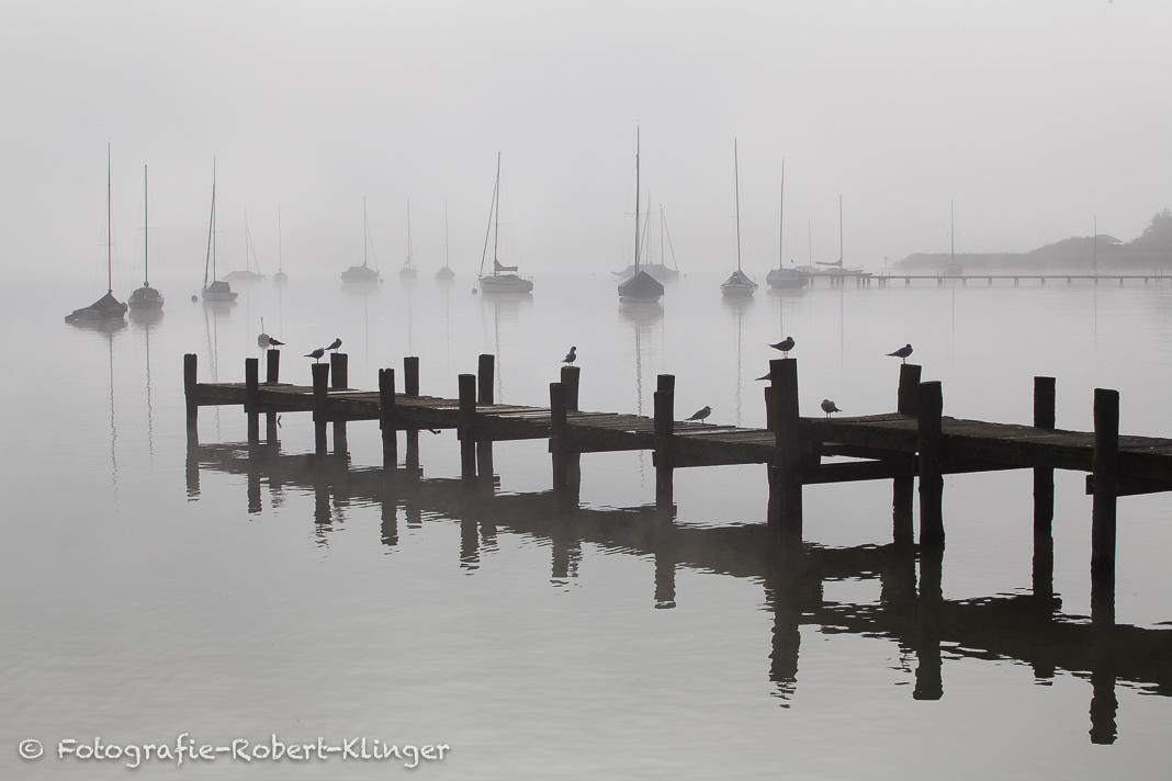 Stimmungsvolles Foto vom Ammersee im Nebel bei Diessen